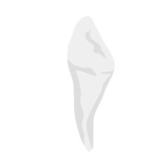Human teeth vector