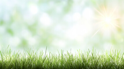 Fototapeta premium Fresh grass against blurred green nature background, natural spring meadow texture with sunlight and bokeh effect for outdoor design