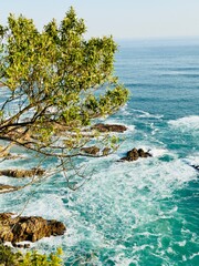 Knysna Water