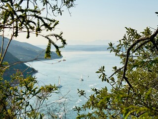 Knysna Lagoon behind tree