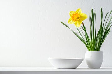 Bright Daffodil and Minimalist Design in Modern Indoor Setting