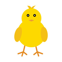  chick icon vector illustration in yellow