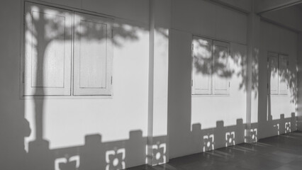 Light and shadow of tree branch and fence on wooden windows and cement wall of vintage house building in black and white style, perspective side view