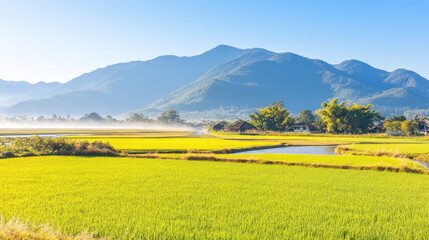 Sunrise over rice paddies and mountains.