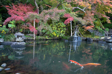 Hojoike Pond inside the Hasedera temple in Kamakura, Japan.