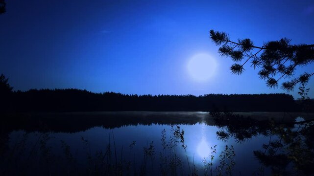 Moonlit night on a forest lake, fog over the water, tall grass swaying in the wind, unfocused objects, summer season, full moon