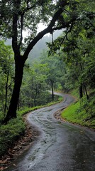 Fototapeta premium Serene Rain-Kissed Forest Road: A Winding Path Through Nature's Embrace