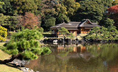 Japan, Tokyo, Hamarikyu Garden in momiji season.
