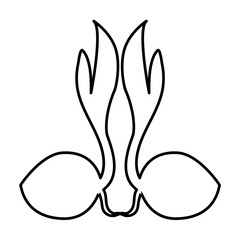 scout day coconut shoots vector