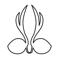 scout day coconut shoots vector