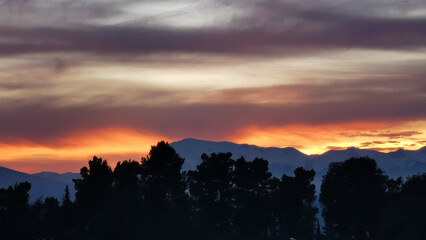 Rosso tramonto sulle montagne da dietro agli alberi