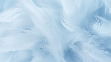 Soft blue feathers background texture
