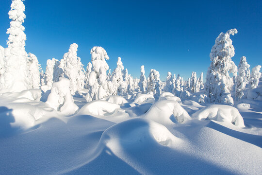 Winterwonderland Finnland