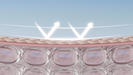 Sunscreen reflects UV rays, shielding skin from sun damage and aging.