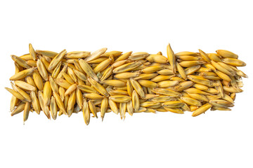 Golden oat grains: the basis of a healthy breakfast and healthy recipes. Isolation on a transparent...