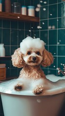 A cozy pet grooming salon with a fluffy dog in a bath and grooming tools