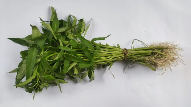 A bunch of water spinach or Ipomoea aquatica plants on a white background. Water spinach is a type of vegetable and is cultivated as a horticultural crop.