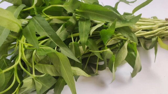 A bunch of water spinach or Ipomoea aquatica plants on a white background. Water spinach is a type of vegetable and is cultivated as a horticultural crop.