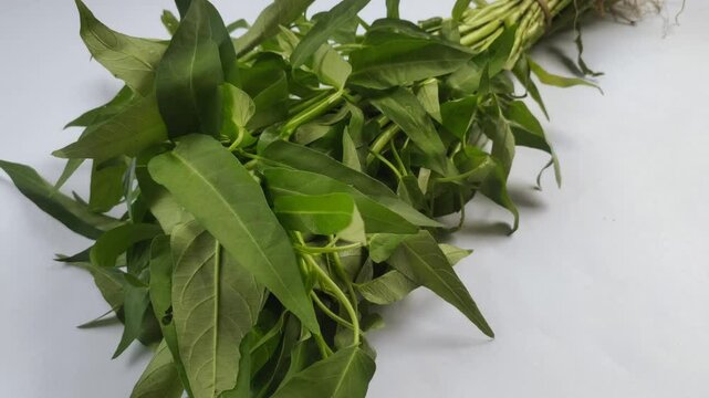 A bunch of water spinach or Ipomoea aquatica plants on a white background. Water spinach is a type of vegetable and is cultivated as a horticultural crop.