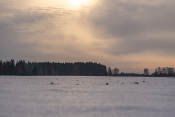 Golden Hour over Snowy Fields.