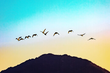 Tranquil Moments of Nature: Birds, Sunsets, and Serene Landscapes. Winter Morning Landscape of Junam Reservoir in Changwon, South Gyeongsang Province, South Korea