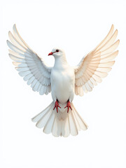 Obraz premium A Dove Spreads Its Wings In A Serene Watercolor Scene Conveying Hope, Peace, And Purity Amidst An Isolated White Background. 00003