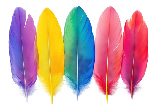 Set of colorful feathers arranged in a row, isolated on transparent cutout background

