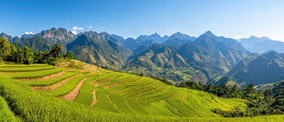 Fototapeta premium Breathtaking Rice Terraces Sapa Vietnam Landscape Photography Natural Beauty Panoramic View