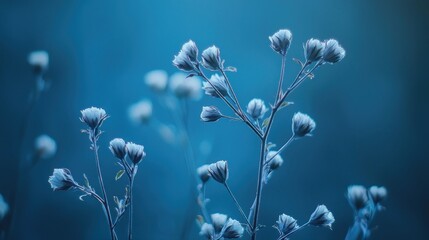 Serene Blue Flowers: A Tranquil Nature Photography