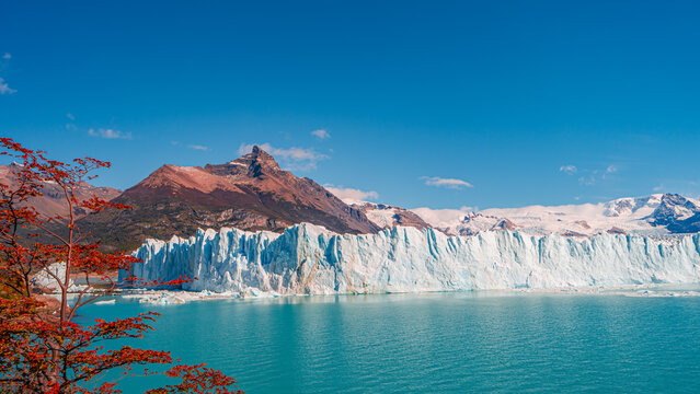 Panoramic over big Perito Moreno glacier in Patagonia with blue sky and turquoise water glacial lagoon, South America, Argentina, in Autumn colors