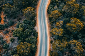 Naklejka premium Aerial View Winding Road Autumn Forest Trees Nature Landscape