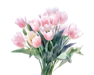 Obraz premium A beautiful bouquet of pink tulips against a white isolated background.