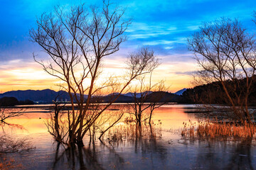 Tranquil Moments of Nature: Birds, Sunsets, and Serene Landscapes. Winter Morning Landscape of Junam Reservoir in Changwon, South Gyeongsang Province, South Korea