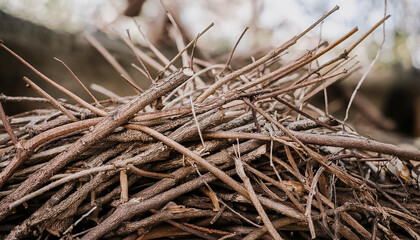 Heap of dry tree branches. Natural material.