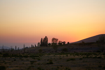 Pink and yellow sunset, rural natural landscape