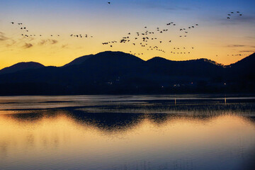 Tranquil Moments of Nature: Birds, Sunsets, and Serene Landscapes. Winter Morning Landscape of Junam Reservoir in Changwon, South Gyeongsang Province, South Korea