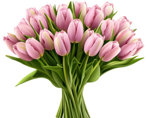 Fototapeta premium A vibrant bouquet of pink tulips beautifully arranged with fresh green leaves.