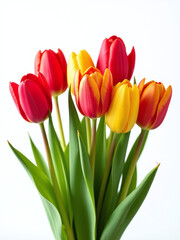 Fototapeta premium A Colorful Tulip Bouquet Is Isolated Against A Crisp White Background Creating A Vibrant And Peaceful Visual Effect Instantly. 00001