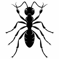 Ant Black silhouette