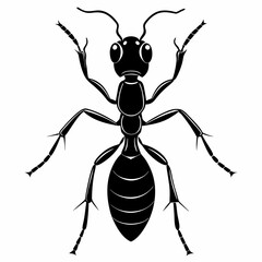 Ant Black silhouette