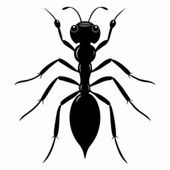 Ant Black silhouette