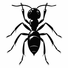 Ant Black silhouette