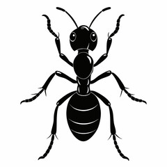 Ant Black silhouette