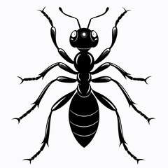 Ant Black silhouette