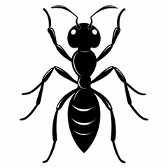 Ant Black silhouette