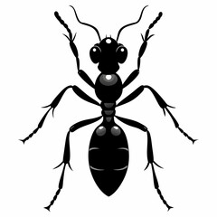 Ant Black silhouette