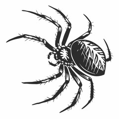 Spider Black silhouette
