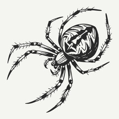 Spider Black silhouette