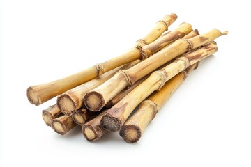 Bamboo shoots on a white background