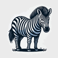 zebra isolated on white